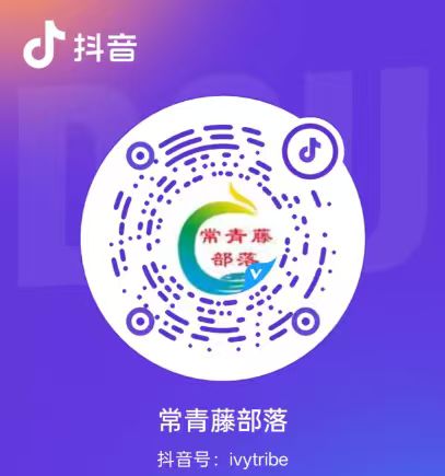 抖音