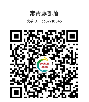 快手
