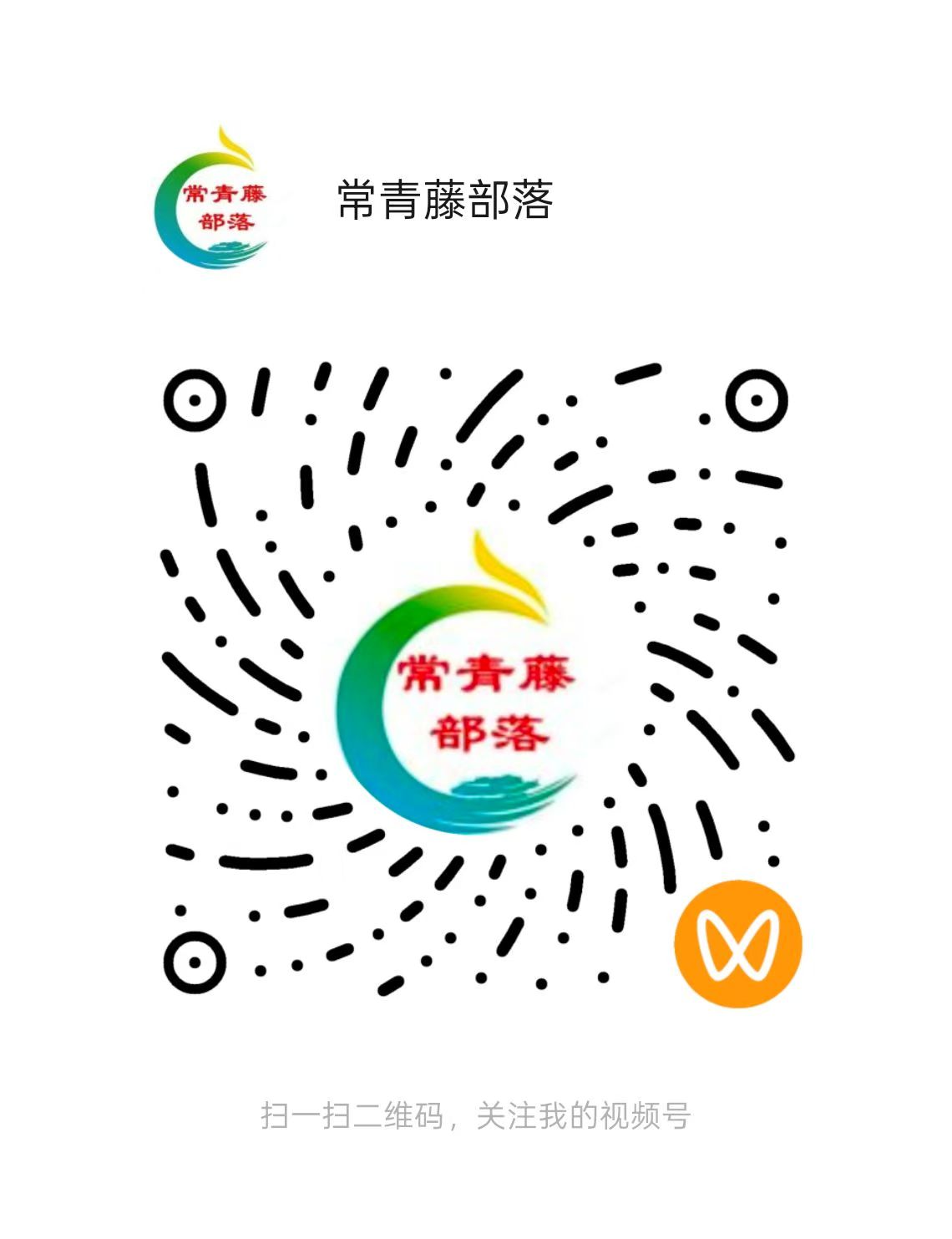 视频号