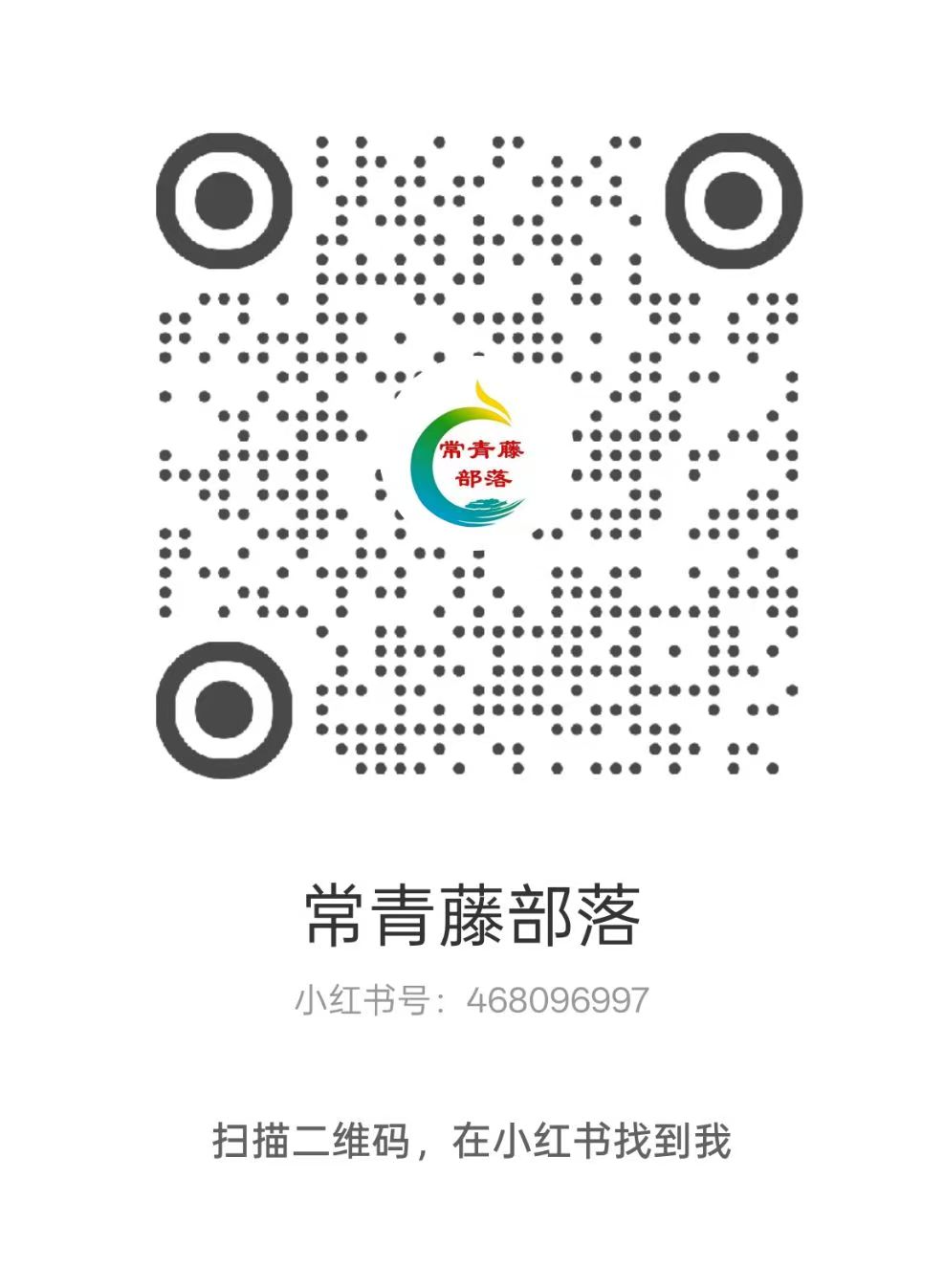 小红书